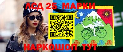 гашик Гай