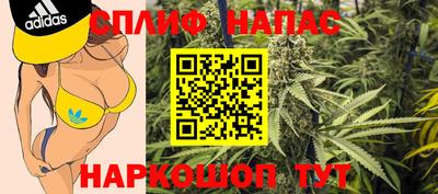 гашик Гай
