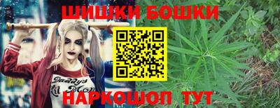 гашик Гай