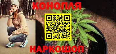 гашик Гай
