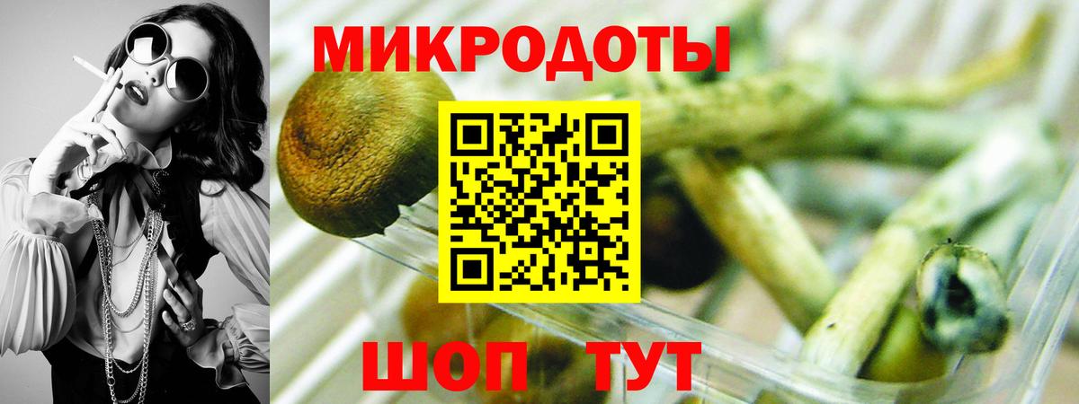 Галлюциногенные грибы Cubensis  что такое наркотик  Ангарск  Вход с VPN  Псилоцибиновые грибы мухоморы 